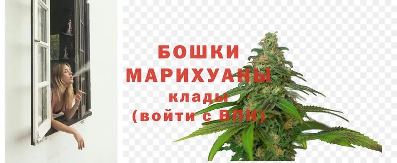 Бошки марихуана OG Kush  Камызяк 